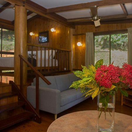Milkwood Lodge Cooktown Luaran gambar
