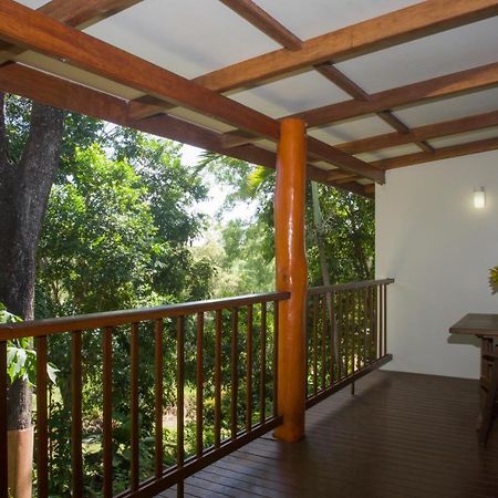 Milkwood Lodge Cooktown Luaran gambar