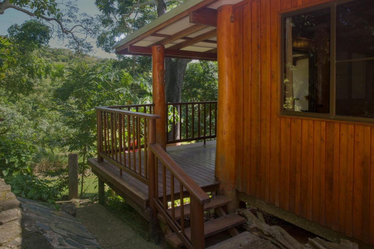 Milkwood Lodge Cooktown Luaran gambar