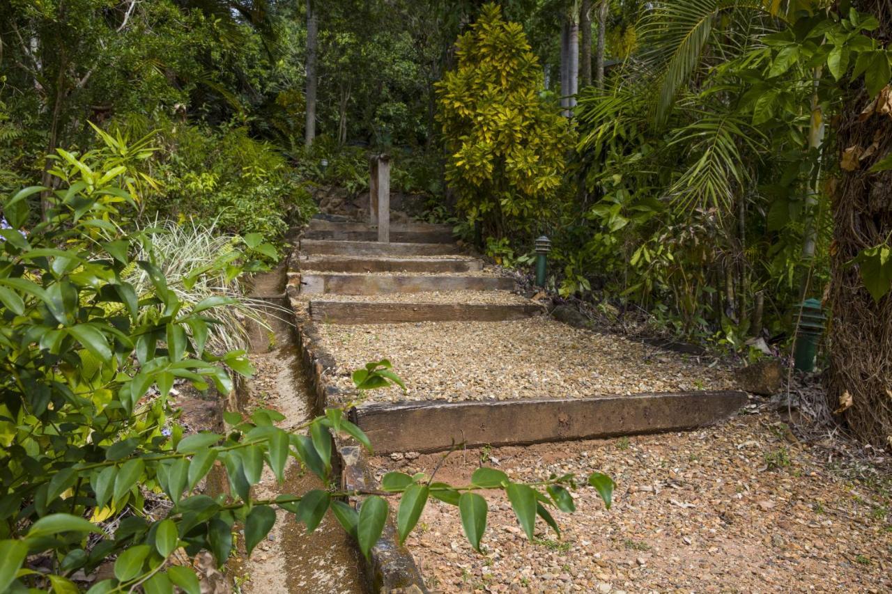 Milkwood Lodge Cooktown Luaran gambar